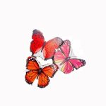 آینه طرح پروانه ا Butterfly design mirror - Image 4